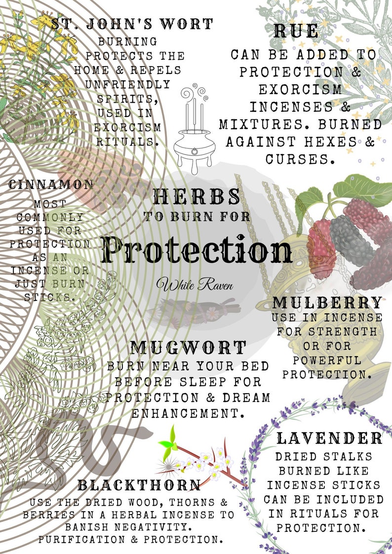 May include: A colorful illustration of herbs to burn for protection. The herbs include St. John's Wort, Rue, Cinnamon, Mugwort, Mulberry, Blackthorn, and Lavender. The text includes the name of each herb and its properties.