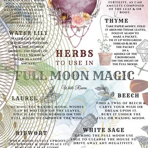 May include: A colorful illustration of herbs to use in full moon magic. The image features a variety of herbs, including cornflower, water lily, mallow, thyme, laurel, ribwort, beech, white sage, and yarrow. Each herb is accompanied by a description of its magical properties and how to use it in full moon rituals.