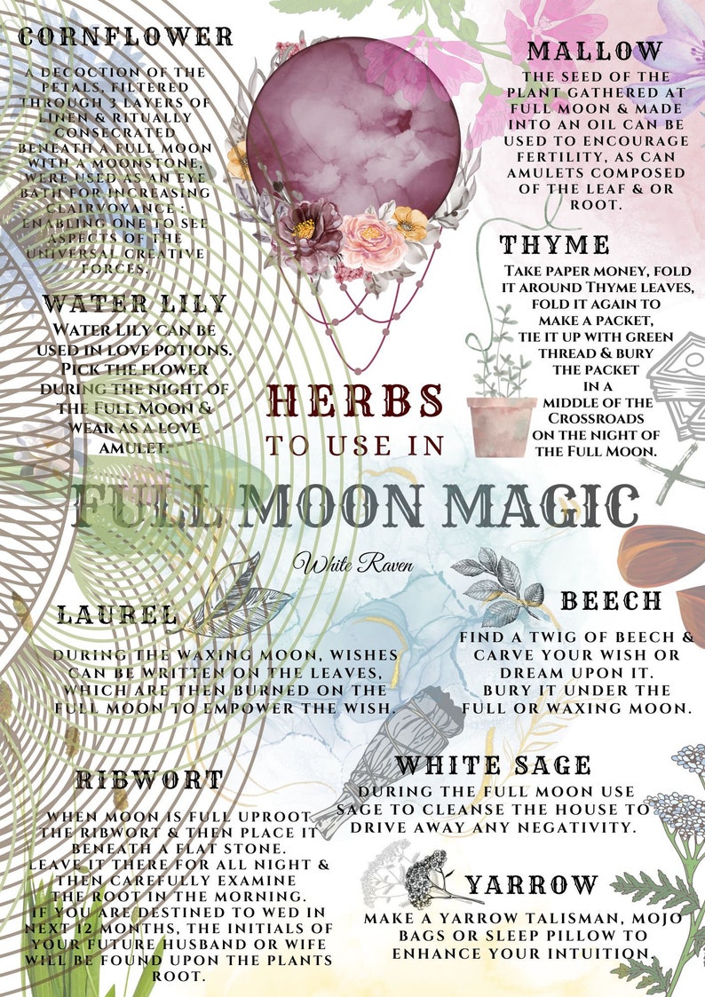 May include: A colorful illustration of herbs to use in full moon magic. The image features a variety of herbs, including cornflower, water lily, mallow, thyme, laurel, ribwort, beech, white sage, and yarrow. Each herb is accompanied by a description of its magical properties and how to use it in full moon rituals.