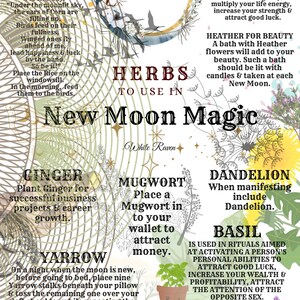 May include: A colorful illustration with a green, white, and gold background. The text "HERBS TO USE IN NEW MOON MAGIC" is in the center of the image. The image includes a list of herbs and their uses in new moon magic, such as ginger, mugwort, yarrow, dandelion, basil, and clary sage.
