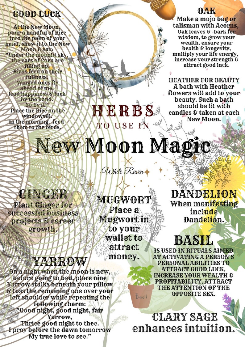 May include: A colorful illustration with a green, white, and gold background. The text "HERBS TO USE IN NEW MOON MAGIC" is in the center of the image. The image includes a list of herbs and their uses in new moon magic, such as ginger, mugwort, yarrow, dandelion, basil, and clary sage.