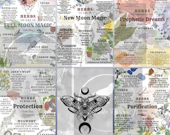 Eclectic Magick Wiccan Guides Printable Digital Grimoire Pages, Sheets for Book of Shadows, A4 Posters or Framed as a Gift, Instant download