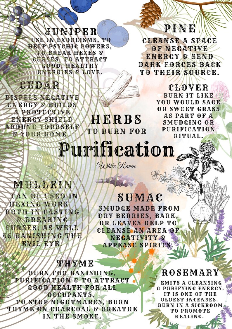May include: A colorful chart with illustrations of various herbs and their uses for purification. The chart includes juniper, cedar, pine, clover, mullein, sumac, thyme, and rosemary. The text describes the properties of each herb and how to use them for cleansing, protection, and healing.