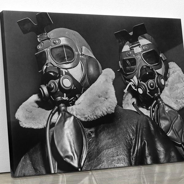 World War II pilot Pilots of American 8th Bomber Command with high altitude oxygen masks and flight goggles, 1942, pilot, Aviation photo