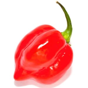 HABANERO RED SAVINA 30 Seeds chili chili pepper very hot pepper