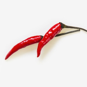 seed THAI DRAGON 30 SEEDS red Thai pepper chilli chili red seed spicy