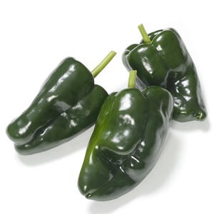zaden ANCHO POBLANIO 20 ZADEN pittige chili peper chili chili
