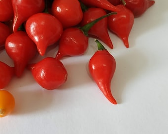 20 SWEETY DROPS BIQUINHO red red seeds seeds pepper teardrop chilli chile