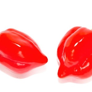 Può includere: Due peperoncini habanero rossi brillanti con gambi verdi su sfondo bianco. I peperoncini hanno una superficie lucida e una forma distintiva, leggermente irregolare. Sono un ingrediente popolare nei piatti piccanti.