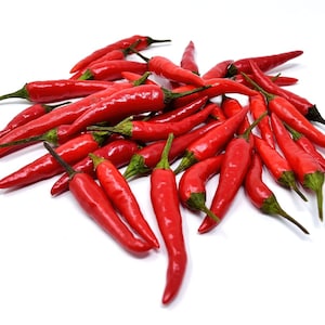 seed THAI DRAGON 30 SEEDS red Thai pepper chilli chili red spicy