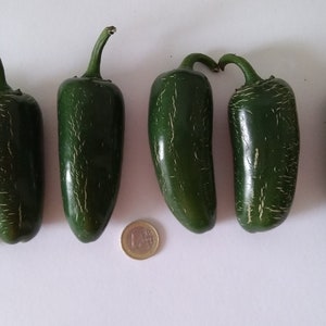 seeds JUMBO JALAPEÑO extra large 30 SEEDS hot chili pepper chili chilli
