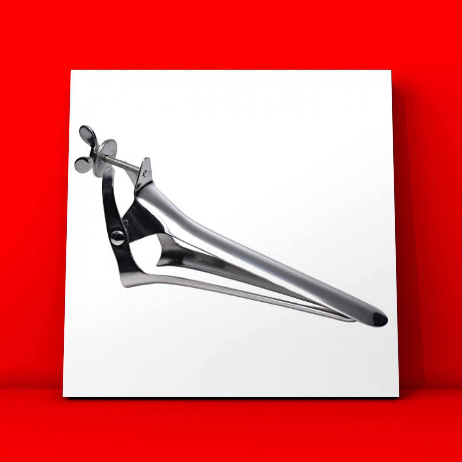 Huge Equine Vaginal Speculum BDSM Bondage Gear Fetish Play Etsy