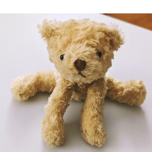 Op de afbeelding: Een lichtbruine pluche teddybeer met zwarte ogen en een bruine neus. De beer zit met zijn poten uitgestrekt.