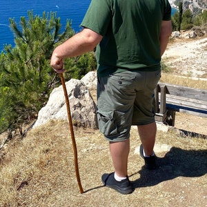 May include: A person wearing a green t-shirt and cargo shorts stands on a hillside, holding a wooden walking stick. The person is looking out at a bright blue ocean with boats and islands in the distance.