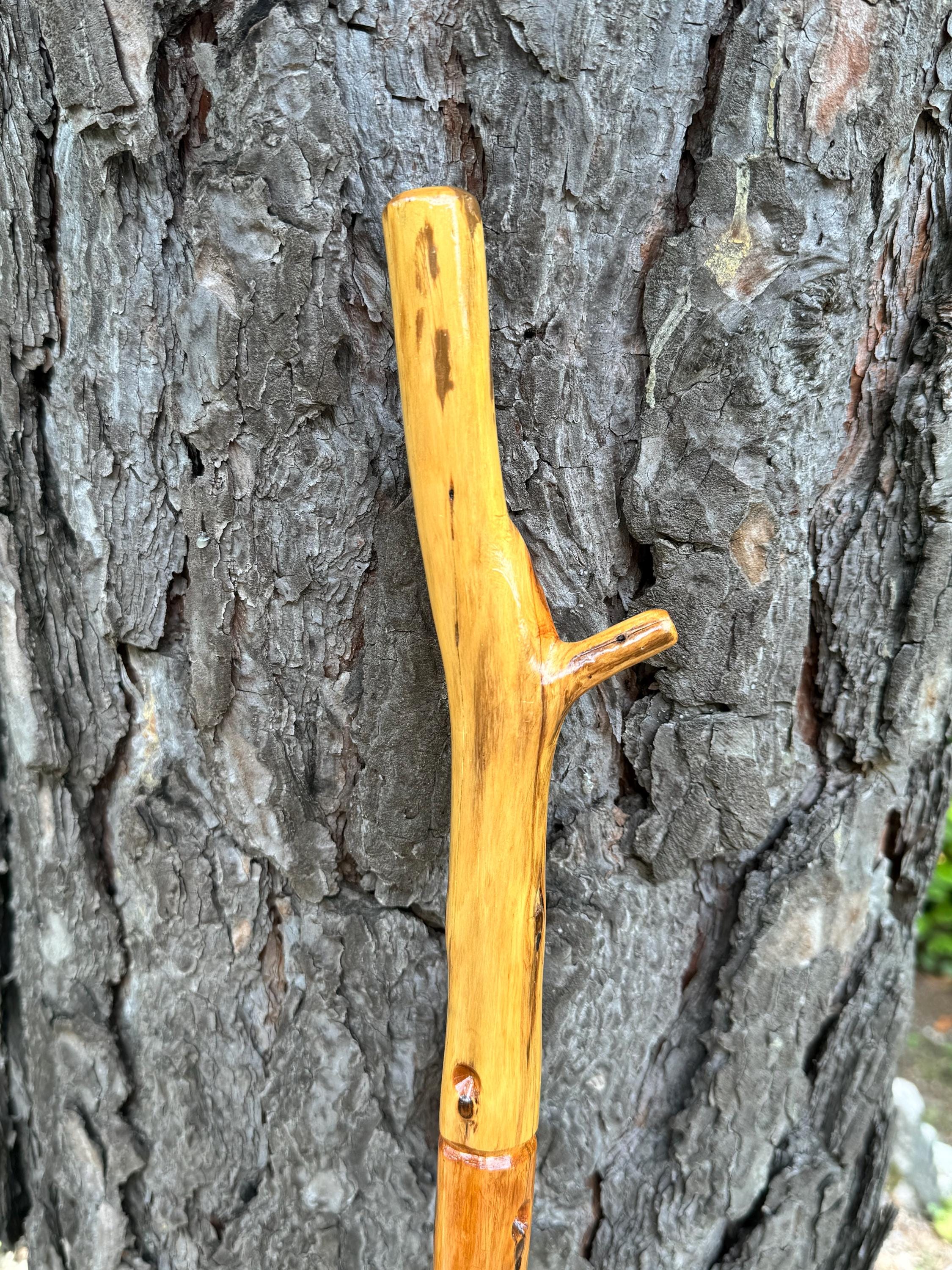 Walking Stick, Natural Cypress, Hiking, Man Woman, Cane, Varnished