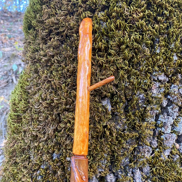 Walking stick, hiking, natural maple, man woman, cane, varnished natural wood, 118cm, shepherd's stick, origin France, Christmas