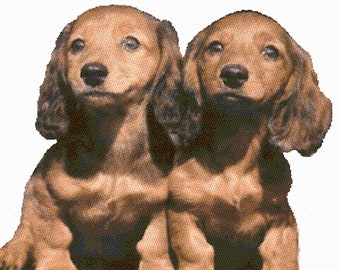 Cute Pair of Sausage Dog Dachshund Puppies Cross Stitch Pattern + Photo - Large Size, Detailed Level, Download Pattern