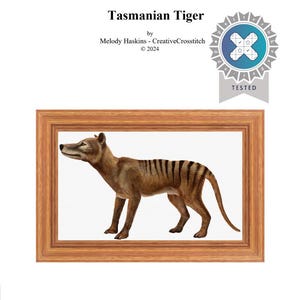 Könnte beinhalten: Gerahmte Illustration eines Tasmanischen Tigers. Das Kunstwerk, in einem Holzrahmen, zeigt das Tier in Brauntönen mit dunklen Streifen. Der Text "Tasmanian Tiger" steht oben, mit zusätzlichem Text darunter, einschließlich des Jahres 2024.
