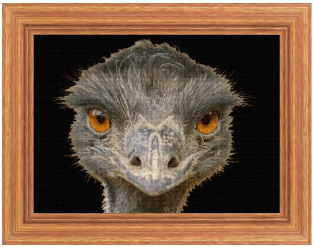 Realistic Aussie Emu Cross Stitch Pattern Photo Large Very - Etsy