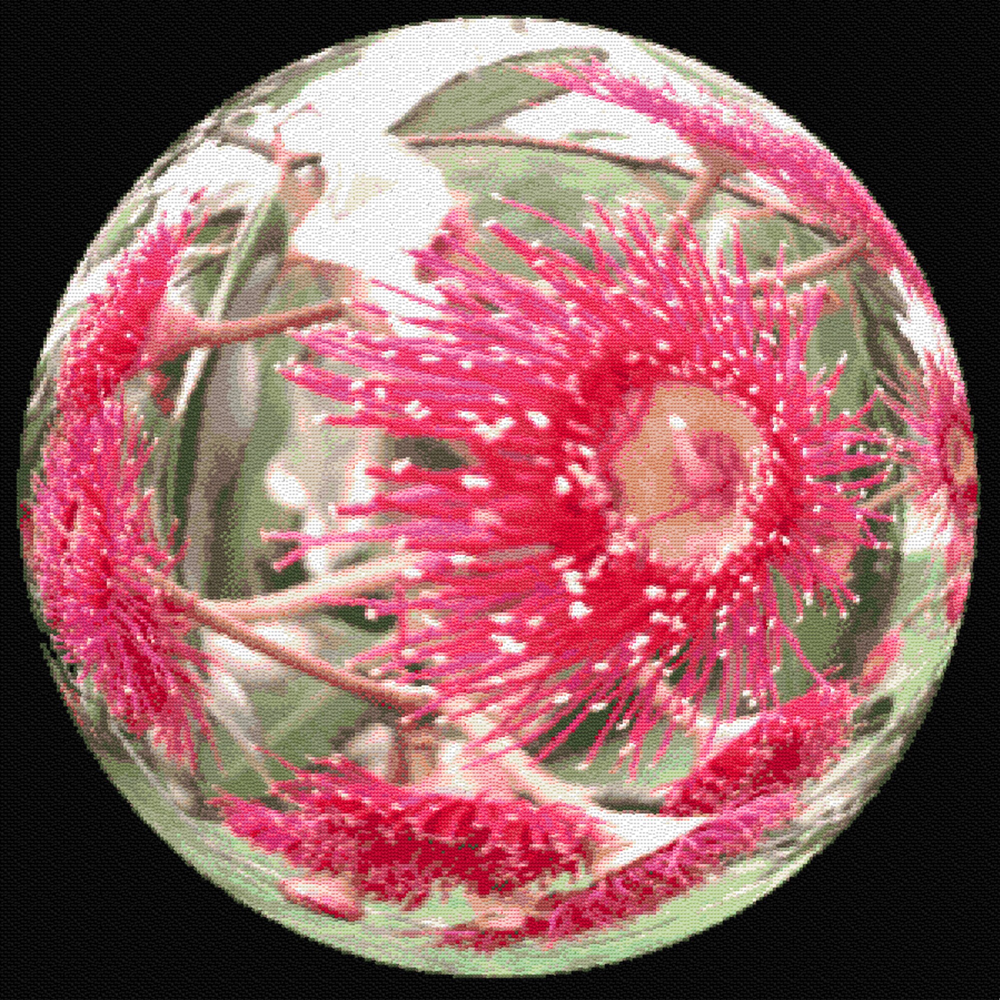 Fantasy World of Gumnut Flowers Cross Stitch Pattern Photo Large ...