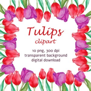 Watercolor Tulips png clipart, handdrawn tulips illustration, digital download, for personal and commercial use