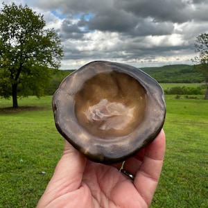 Puede incluir: Un cuenco marrón oscuro de forma orgánica con un interior marrón más claro. El cuenco se sostiene en una mano sobre un fondo de hierba verde, árboles y un cielo nublado. La superficie del cuenco parece lisa y reflectante.