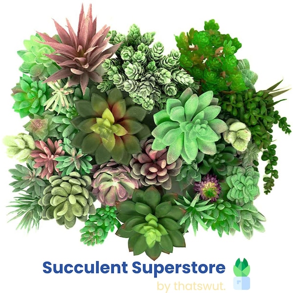 35 Pack Bulk Large Assorted Realistic Artificial Faux Succulents Aloe Plants Realistic Fake Succulent Plants, Largest Set of Succulents