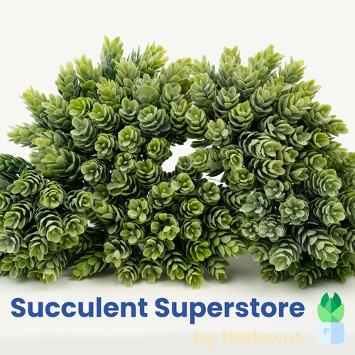 Faux Succulents Pineapple Grass 5 Pack Etsy