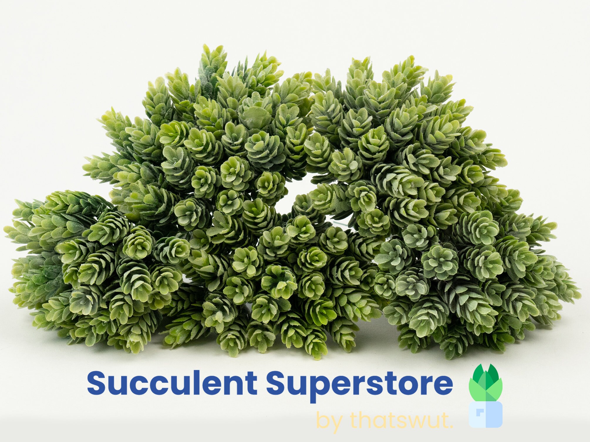 Faux Succulents - Pineapple Grass [5 Pack]