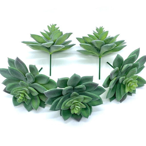Artificial Succulents Bulk Etsy