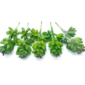 Faux Succulents - Sedum Album [5 Pack]