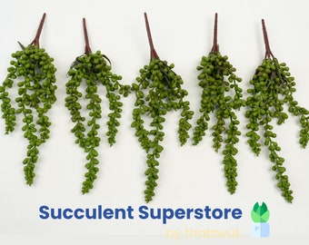 Faux Succulents - String of Pearls [5 Pack]
