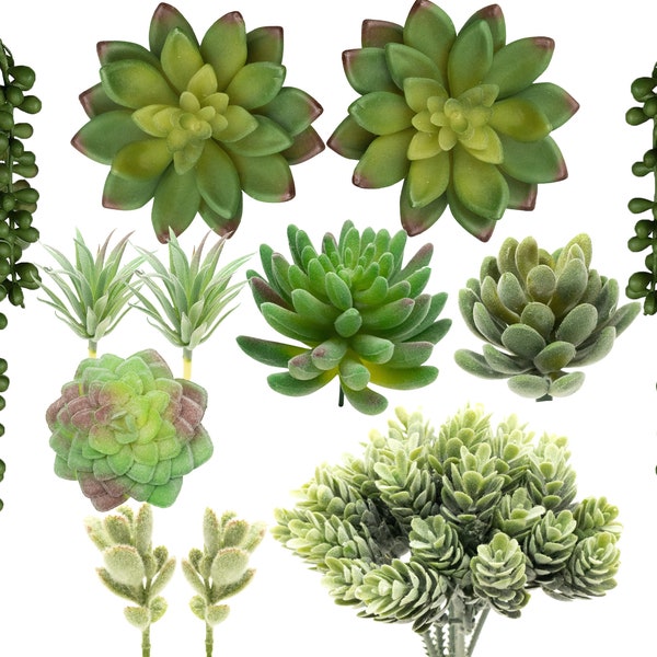 Faux Succulents Etsy