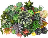 50 Pack: Assorted Realistic Faux Succulents - Bulk Aloe Plants - Etsy Canada