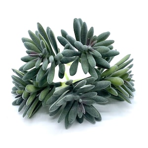 Faux Succulents - Sedum Sedeforme [5 Pack]