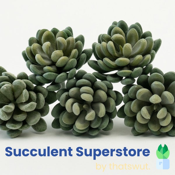 Faux Succulents - Etsy