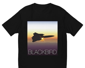 Camiseta SR-71 Blackbird / Vector Artwork / Puesta de sol