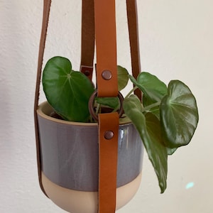May include: A hanging planter with a light brown leather strap and a gray and cream-colored ceramic pot. The pot holds a green plant with large, heart-shaped leaves. The leather strap is attached with copper rivets.