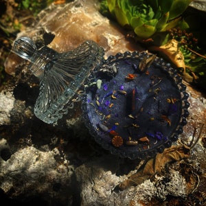Peut inclure: Un petit plat rond bleu foncé avec un bord festonné décoratif. Le plat est rempli d'herbes séchées, de fleurs et d'autres éléments naturels. Le plat est posé sur un rocher avec une plante succulente verte en arrière-plan.
