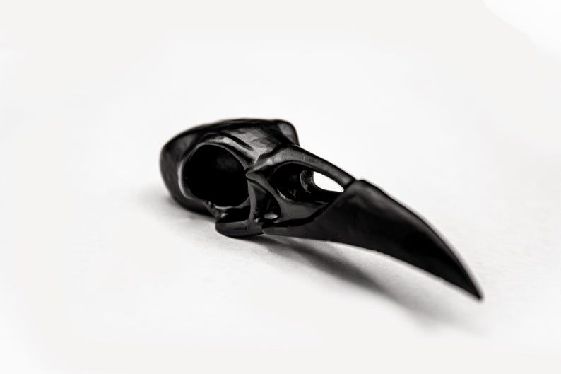 K&ouml;nnte beinhalten: Eine mattschwarze Vogelsch&auml;del-Nachbildung mit einem gebogenen, spitzen Schnabel und hohlen Augenh&ouml;hlen. Das Objekt ist in einem soliden, dunklen Finish mit glatten Konturen gehalten und zeigt die anatomische Struktur des Sch&auml;dels.