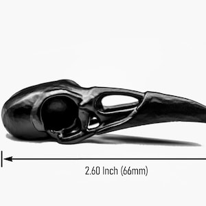 K&ouml;nnte beinhalten: Eine mattschwarze Vogelsch&auml;del-Nachbildung mit gebogenem Schnabel und hohlen Augenh&ouml;hlen. Der Sch&auml;del wird mit Ma&szlig;angaben dargestellt, die eine H&ouml;he von 17,25 mm und eine Gesamtl&auml;nge von 66 mm f&uuml;r das gesamte Objekt zeigen.