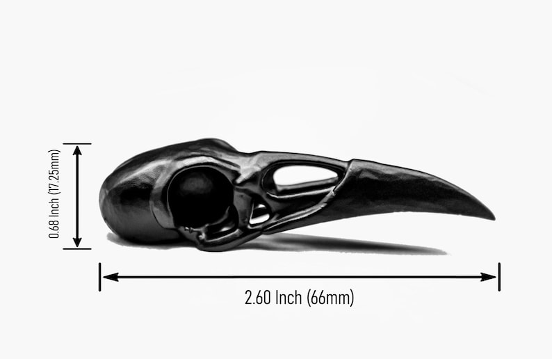 K&ouml;nnte beinhalten: Eine mattschwarze Vogelsch&auml;del-Nachbildung mit gebogenem Schnabel und hohlen Augenh&ouml;hlen. Der Sch&auml;del wird mit Ma&szlig;angaben dargestellt, die eine H&ouml;he von 17,25 mm und eine Gesamtl&auml;nge von 66 mm f&uuml;r das gesamte Objekt zeigen.