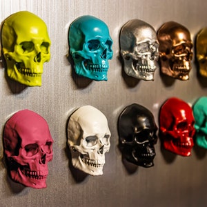 5 Piece Human Skull Magnets