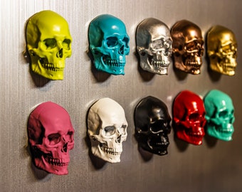 5 Piece Human Skull Magnets