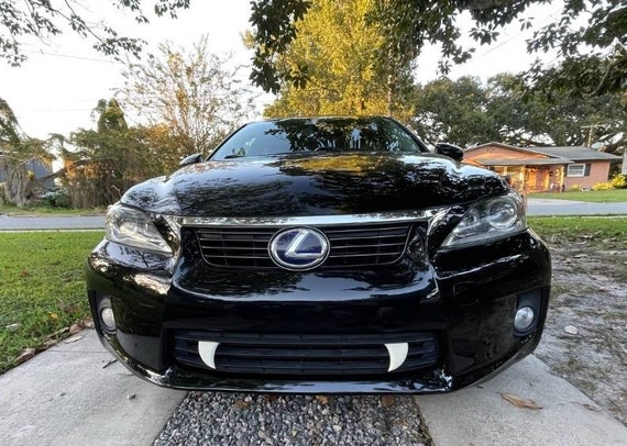 Car Fangs Grusel-Fangzähne Für Auto-Kühlergrill - Halloween Deko Für Auto & LKW