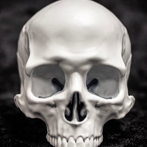 Puede incluir: Una calavera blanca con rasgos faciales detallados, incluyendo cuencas de los ojos, cavidad nasal y dientes. La calavera se encuentra sobre un fondo oscuro y texturizado, creando un fuerte contraste. La imagen es un primer plano.