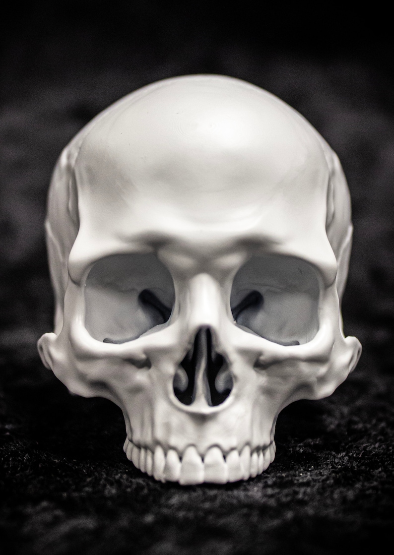 Puede incluir: Una calavera blanca con rasgos faciales detallados, incluyendo cuencas de los ojos, cavidad nasal y dientes. La calavera se encuentra sobre un fondo oscuro y texturizado, creando un fuerte contraste. La imagen es un primer plano.