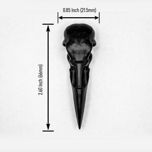 K&ouml;nnte beinhalten: Eine schwarze Vogelsch&auml;del-Nachbildung mit glatter Oberfl&auml;che. Das Objekt ist mit Ma&szlig;linien dargestellt, die eine Breite von 21,5 mm und eine Gesamth&ouml;he von 66 mm angeben und so den Ma&szlig;stab der Gr&ouml;&szlig;e des Artikels verdeutlichen.