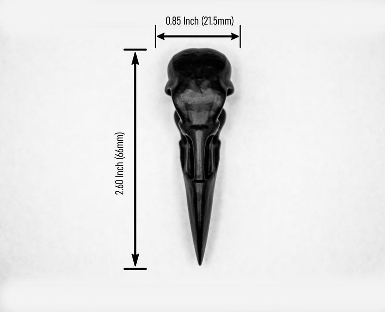K&ouml;nnte beinhalten: Eine schwarze Vogelsch&auml;del-Nachbildung mit glatter Oberfl&auml;che. Das Objekt ist mit Ma&szlig;linien dargestellt, die eine Breite von 21,5 mm und eine Gesamth&ouml;he von 66 mm angeben und so den Ma&szlig;stab der Gr&ouml;&szlig;e des Artikels verdeutlichen.