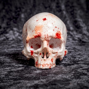May include: A human skull replica in an off-white color featuring a scattered red paint splatter pattern across the entire surface. The skull displays detailed eye sockets, a nasal cavity, and a jawline with visible teeth in a front-facing view.
